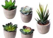 How to Decorate Room with Fake Plants Simple Tips for Stylish Decor